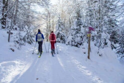 WEDZE Backcountry Skis With Bindings And Skins - XLD 500 Black/Blue 34 WEDZE Backcountry Skis With Bindings And Skins - XLD 500 Black/Blue -WEDZE SHOP backcountry skis with bindings and skins xld 500 black blue 15