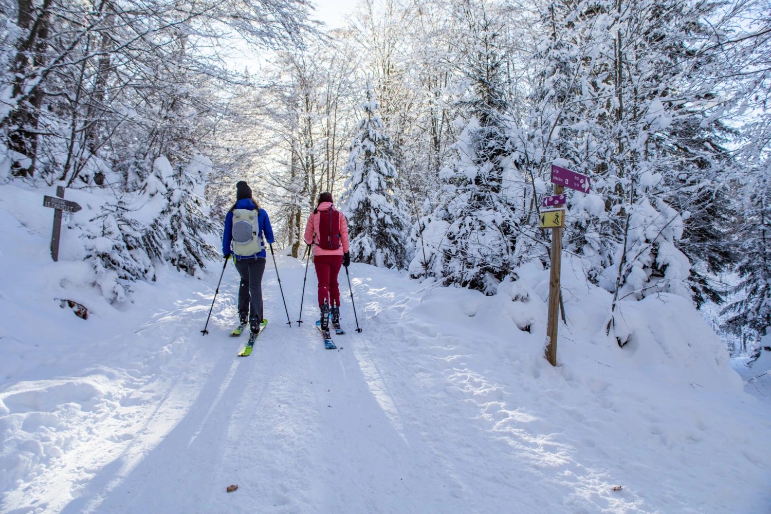 WEDZE Backcountry Skis With Bindings And Skins - XLD 500 Black/Blue 16 WEDZE Backcountry Skis With Bindings And Skins - XLD 500 Black/Blue - Image 16