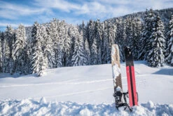 Cross-Country Ski Snowshoes - BC 500 14 Cross-Country Ski Snowshoes - BC 500 -WEDZE SHOP cross country ski snowshoes bc 500 6