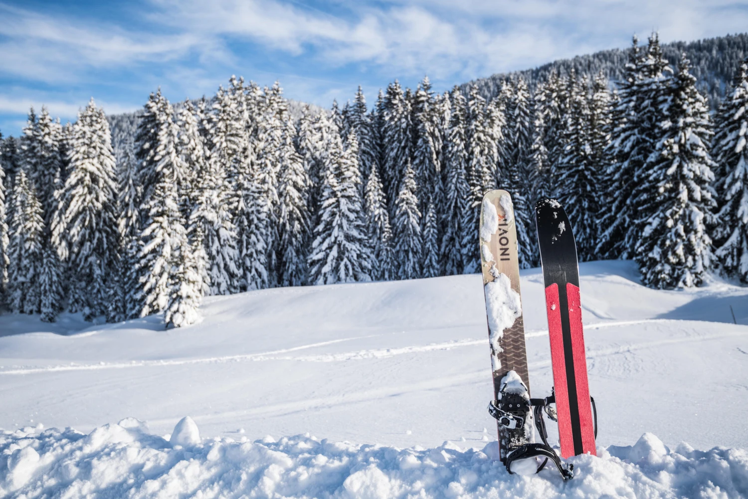 Cross-Country Ski Snowshoes - BC 500 7 Cross-Country Ski Snowshoes - BC 500 - Image 7