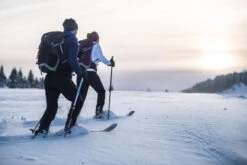 Cross-Country Ski Snowshoes - BC 500 15 Cross-Country Ski Snowshoes - BC 500 -WEDZE SHOP cross country ski snowshoes bc 500 7