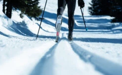 Cross-Country Skis With Xcelerator Bindings - XC S 900 Skin Hard Camber 16 Cross-Country Skis With Xcelerator Bindings - XC S 900 Skin Hard Camber -WEDZE SHOP cross country skis with xcelerator bindings xc s 900 skin hard camber 7