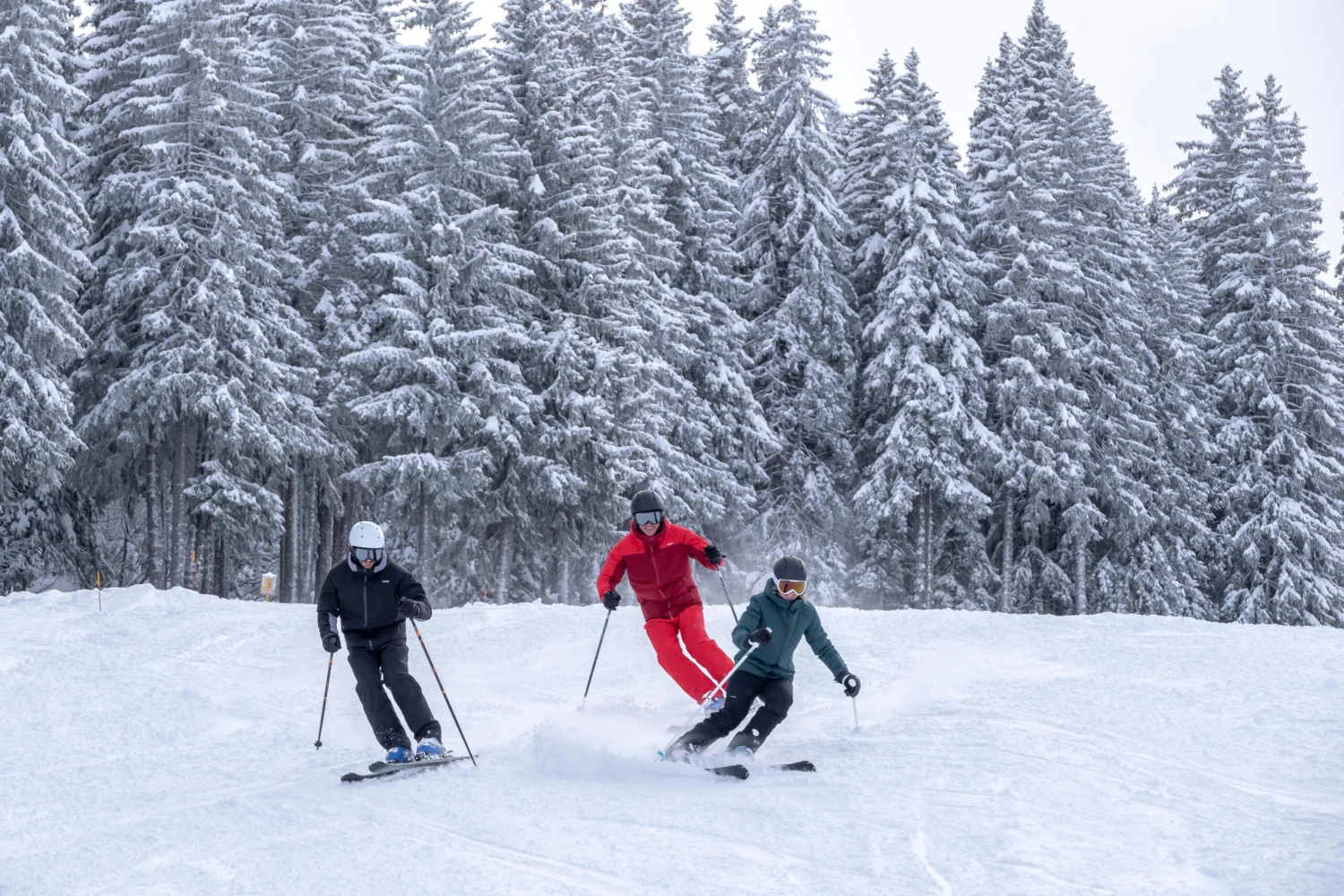 WEDZE Men’s Downhill Ski Pants - 500 Black 20 WEDZE Men’s Downhill Ski Pants - 500 Black - Image 20