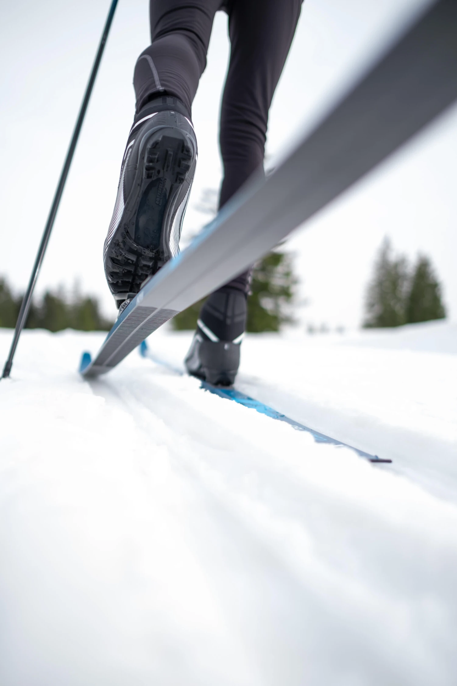 Men's Classic Cross-Country Skiing Boots – XC S 150 Black 11 Men's Classic Cross-Country Skiing Boots – XC S 150 Black - Image 11