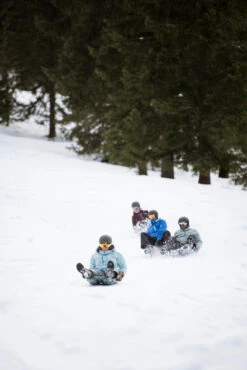 WEDZE Tray Sled - Trilugik Green 30 WEDZE Tray Sled - Trilugik Green -WEDZE SHOP tray sled trilugik green 13