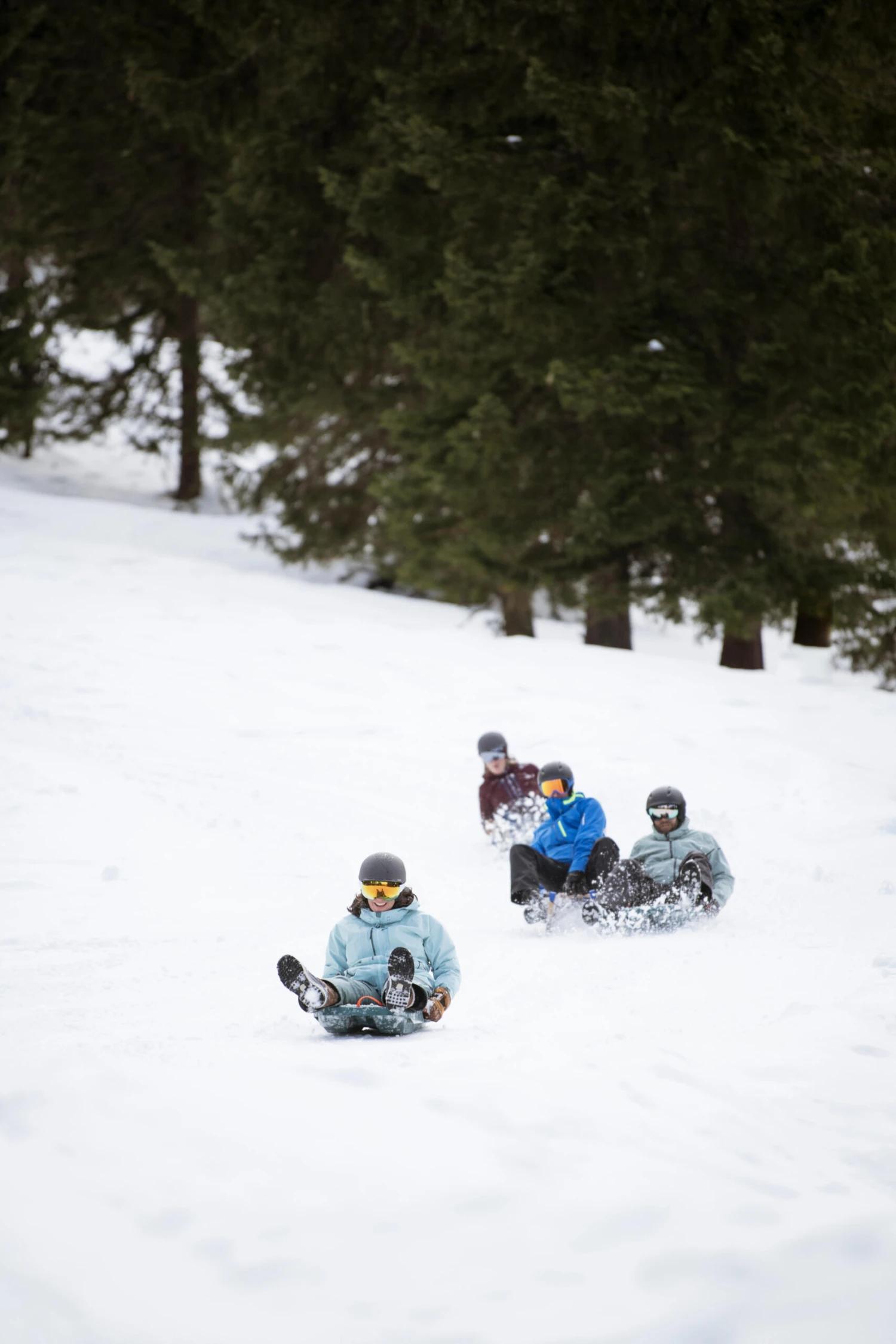 WEDZE Tray Sled - Trilugik Green 14 WEDZE Tray Sled - Trilugik Green - Image 14